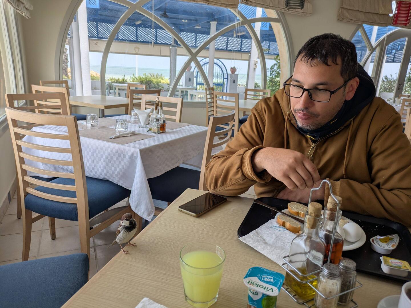 Ein Sperling frühstückt mit uns 🤣