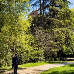 Hiking up through San Michele di Bosco Park to the church visible through the trees — Bologna.