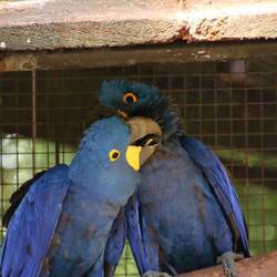 So verschmust sind die zwei 😍