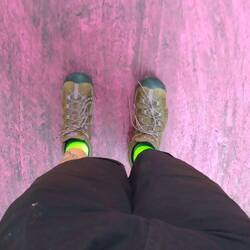 Grüngelbe Socken auf pinker Straße