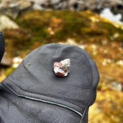 Et pour finir une jaspe bréchique, ça sert à faire des bijoux
