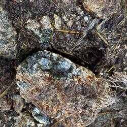 Néphéline, on utilise ça pour l'intérieur des fours en pierre