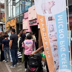 Schweinecafé (hier kann man kleine Schweine streicheln, Kaffee gibt es nicht)