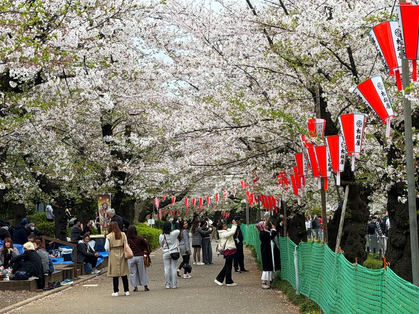 Hanami