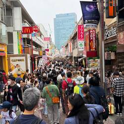 Harajuku, Strassen mit Hunde-, Katzen- und Schweinecafés