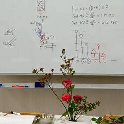 Ikebana-Kurs (hat was von einer Mathestunde)