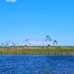 Mit Flugzeug oben🤣