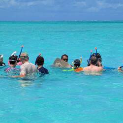 This guide let us all come and hold a stingray, he said her name was Juliet.