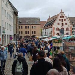 wir waren nicht alleine am Markt