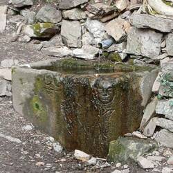 eine Quelle neben der Dreisam