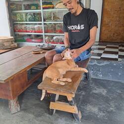 Der Guide mochte seine Katze sehr 😻