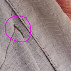 Der Blutegel auf Franks Hemd