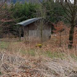 Geräteschuppen im Wald, in der Not eine Möglichkeit Schutz zu finden.