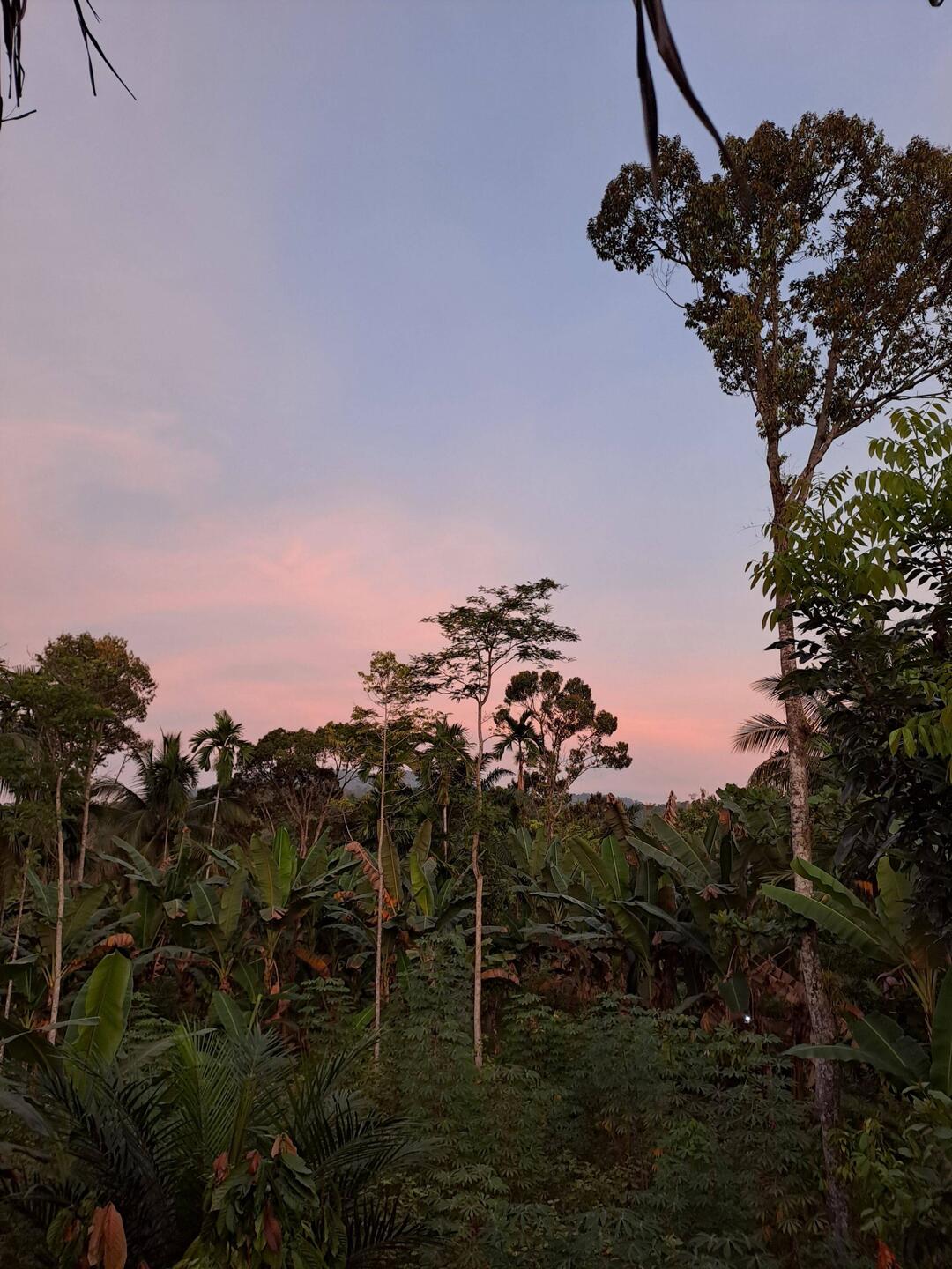 Zeitiges Aufstehen beschert schöne Sonnenaufgänge