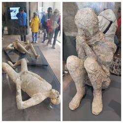 Large Palaestra Exhibition; victims of the eruption (plaster cast moulds)