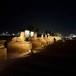 3000 Sphinx's