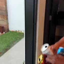 Tchãozinho aiming for the recycle bin