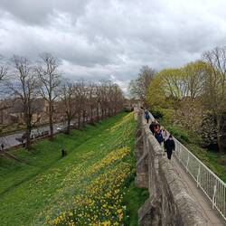 Alexa play Wonderwall