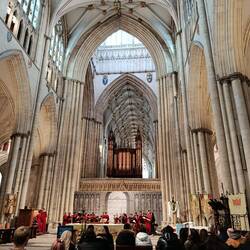 You're through to judge's houses