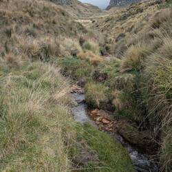 ....wieder eine ganz andere Landschaft...