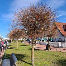 Hier wachsen die Ostereier auf Bäumen