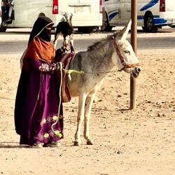 Just a goat on a donkey....