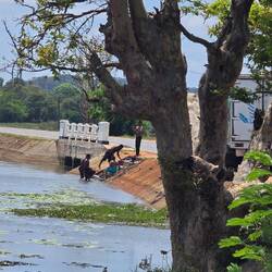 Badende Lastwagenfahrer