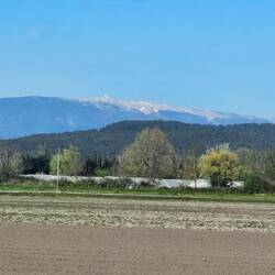Und von überall der Mont Ventoux zu bestaunen