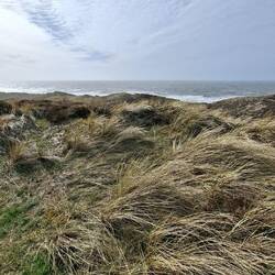 Blick von der Uwe Düne auf die Nordsee