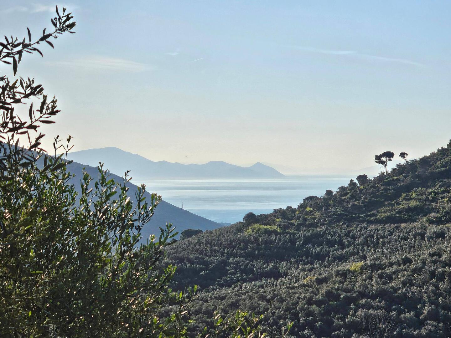 My first glimpse of the ocean this morning