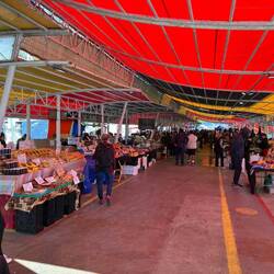 Fischmarkt in Valdivia