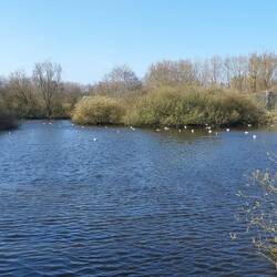 Landschaftlich ein schöner Park