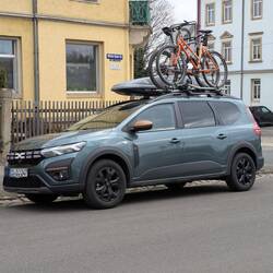 Dino mit imposanten Knochenkamm, bereit zur Eroberung der schottischen Weiten!