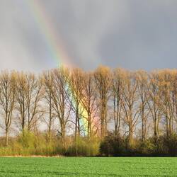 Zum Abschluss des Tages gibt es noch einen Regenbogen.