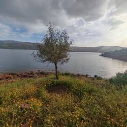Unter fast jedem Baum sieht man einen plattgesessenen kleinen Picknickplatz.