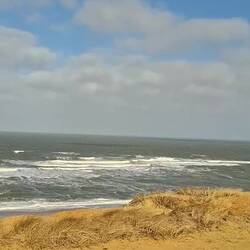 Nordsee - nicht anfassen - nur anschauen😃