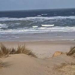 Ein paar Meter naturbelassener Weg