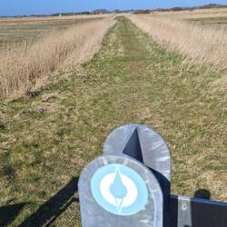 Nicht länger am Deich lang