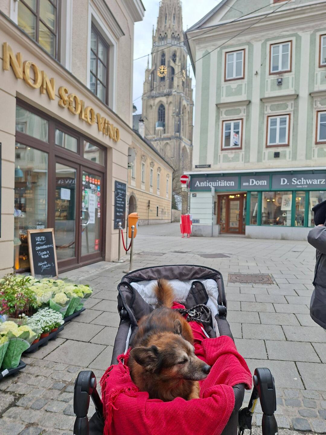 Linz im Kinderwagen (Augenroll)