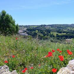 Gleicher Blick, anderer Vordergrund