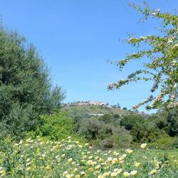 Blick zurück auf die Burg in Santiago do Cacem