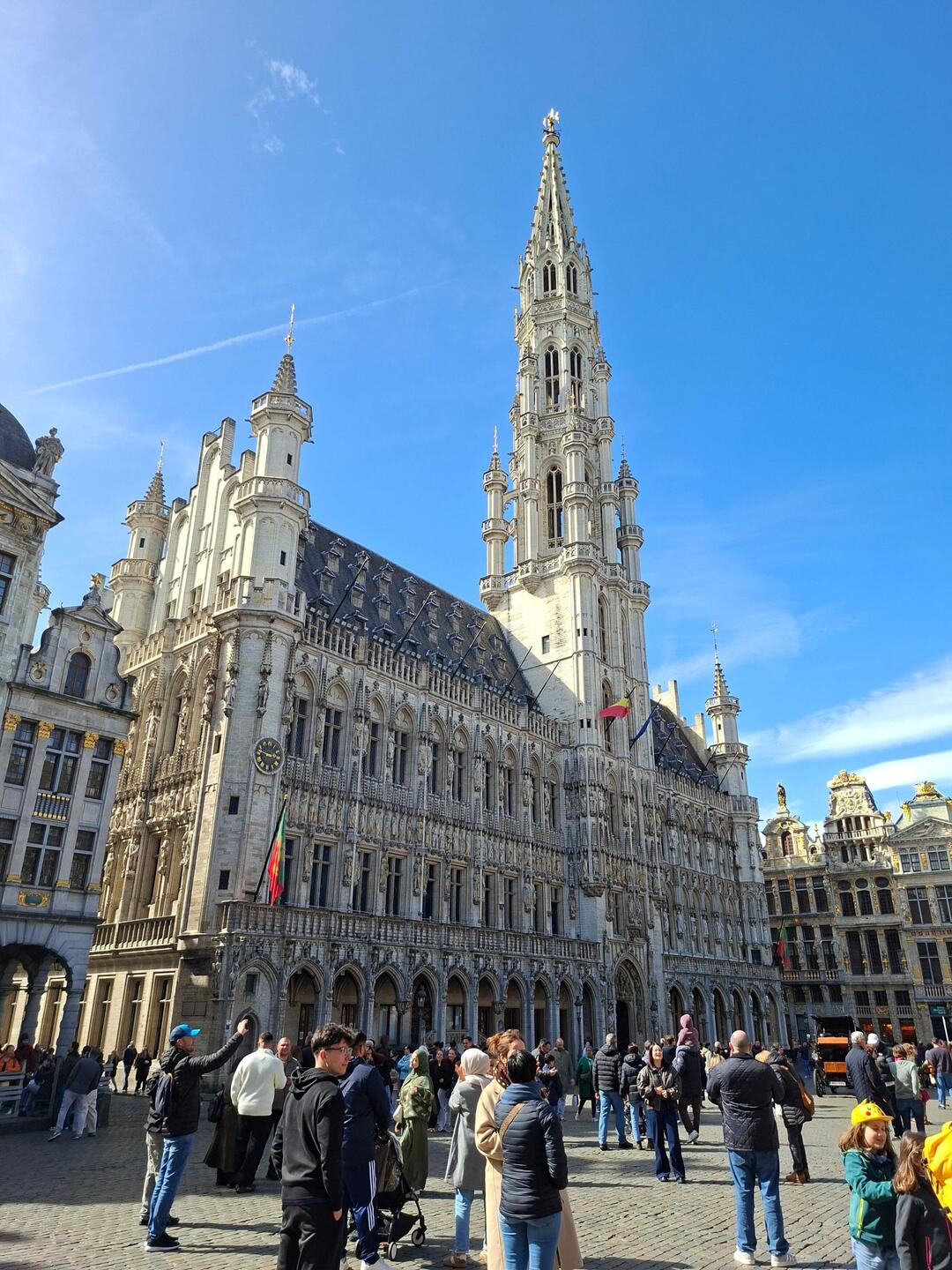 Das prächtige Rathaus ...