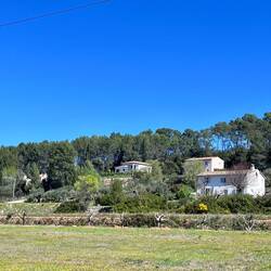 Vignes, villa, pins et ciel azur