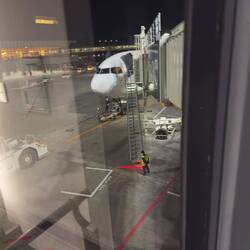 JA619J at the gate on NRT waiting to operate as JL786.