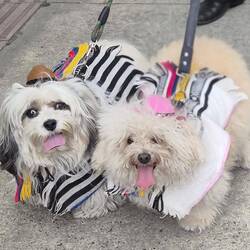 Oder diesen zwei ? Die richtige Antwort kann über Freundschaften entscheiden 😜