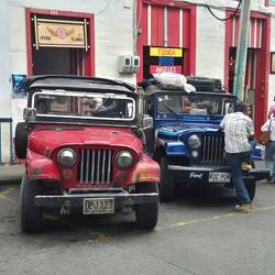Die Willy- Jeeps warten auf Fahrgäste