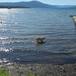 Und abschließend gibt's noch eine Abkühlung für Sindy 🐕‍🦺😍