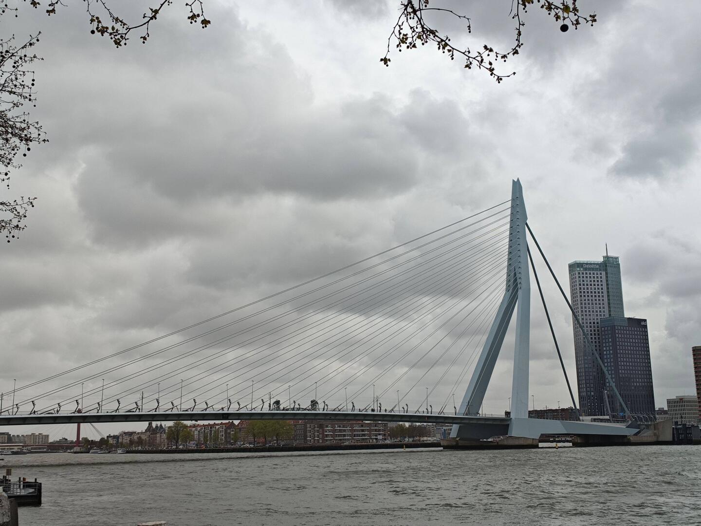 Erasmus-Brücke