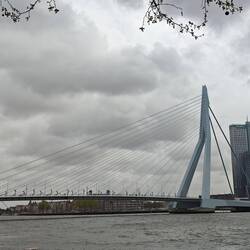 Erasmus-Brücke