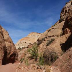 Capitol Gorge Trail